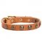 Walking and Training Studded Puppy Leather Dog Collar