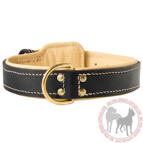 dog collars for walking training