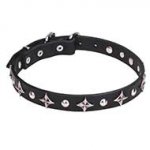 "Pleiades" Leather Dog Collar with Stars and Studs - 1 inch (25 mm) Wide