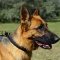 Braided Leather German Shepherd Choke Collar for Training and Behavior Correction