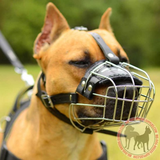 padded muzzle