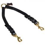 Dog Coupler Leash For Walking With Decoration Of Leather