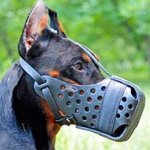 Leather Doberman Muzzle for Attack Training