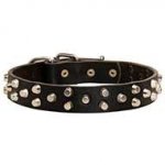 Designer Pyramid Studded Leather Canine Collar