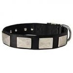 All Weather Nylon Dog Collar With Vintage Massive Plates