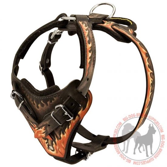 k9 agitation harness