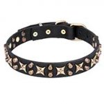 "Hollywood Star" Leather Dog Collar with Bronze Plated Fittings