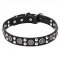 "Galactic Style" Leather Dog Collar with Silver-color Fittings