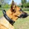 2 Ply Agitation Training German Shepherd Collar with Handle
