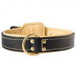 Nappa Padded Leather Dog Collar for Walking and Training