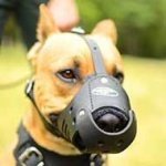 Leather Pitbull Muzzle for Anti-Barking Training