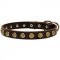 Walking and Training Leather Dog Collar With Doted Circles