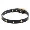 "Rock the Goth" Leather Collar for Trendy Canine