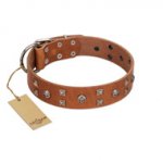 "Enchanted Skulls" FDT Artisan Tan Leather dog Collar with Chrome Plated Skulls