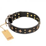 'A La Mode' FDT Artisan Exclusive Handmade Black Leather Dog Collar