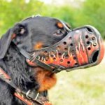 Hand-Painted Leather Rottweiler Muzzle | Dog Attack Training