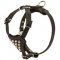 Leather Studded Dog Harness for Puppy Walking