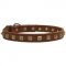 Brass Studded Leather Canine Collar for Walking