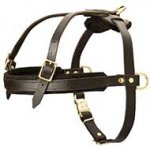 Pulling and Tracking Leather Dog Harness