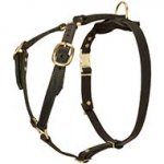 Leather Dog Harness for Tracking, Walking and Training