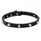 "Beauty & Elegance" Leather Canine Collar with Chrome Plated Adornment