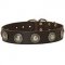 Leather Dog Collar with Silvery Conchos for Walking and Training