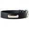 Identification Leather Dog Collar for Walking and Training