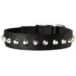 Beautiful Wide Nylon Dog Collar With Nickel Pyramids