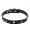 "Pirate" Leather Canine Collar with Spikes and Skulls of Nickel Plated Steel