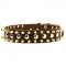 New Gorgeous Leather Dog Collar with Spikes and Studs