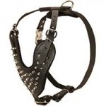 Adjustable Leather Dog Harness with Nickel Spikes for Daily Walking