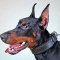 Felt Padded Leather Doberman Collar for Training