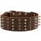 Gorgeous Extra Wide Leather Dog Collar with Spikes and Studs