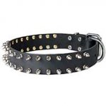 Fashionable Walking Leather Spiked Dog Collar