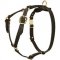 Leather Dog Harness for Tracking, Walking and Training
