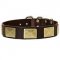 Fashion Leather Dog Collar with Large Brass Plates for Walking and Training