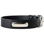Identification Leather Dog Collar for Walking and Training