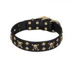 'Jolly Rojer' FDT Artisan Leather Dog Collar with Pirate Skulls and Studs for Walking Big Dog Breeds