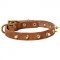 Walking and Training Spiked Leather Dog Collar