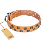 "Precious Sparkle" Wide FDT Artisan Leather Dog Collar with Goldish and Silvery Studs