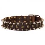 Exquisite Spiked and Studded Leather Dog Collar