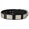 All Weather Nylon Dog Collar With Vintage Massive Plates
