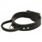 Heavy-Duty Agitation Training Dog Collar with Handle