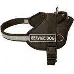 Lightweight Nylon Dog Harness for SAR, Police Service, Tracking, Training, Walking