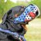 Proper Fitting Handpainted Leather Rottweiler Muzzle for Agitation Training