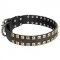 Walking and Training Studded Leather Dog Collar "Caterpillar"