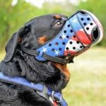 Proper Fitting Handpainted Leather Rottweiler Muzzle for Agitation Training