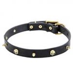 "Rock the Goth" Leather Collar for Trendy Canine