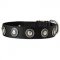 Conchos Decorated Wide Nylon Dog Collar for Walking