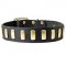 Brass Plated Wide Leather Dog Collar for Walking and Training